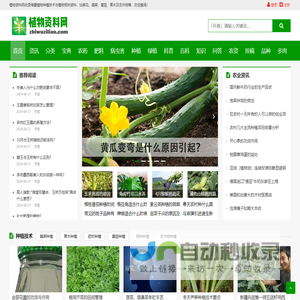 植物资料网 | 农业种植技术大全，植物花卉图片及分类科普!
